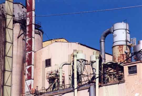 wayne feeds, guntersville, alabama