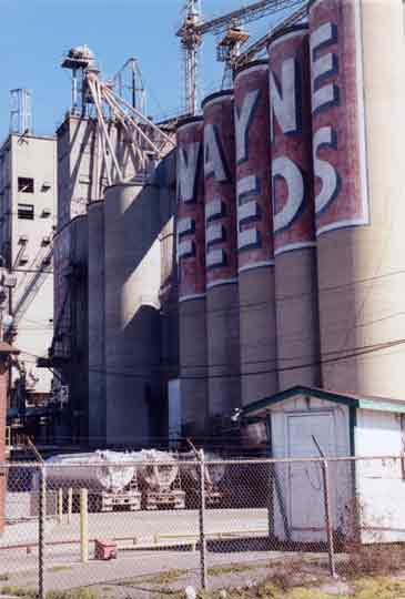 wayne feeds, guntersville, alabama