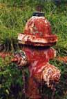 fire hydrant